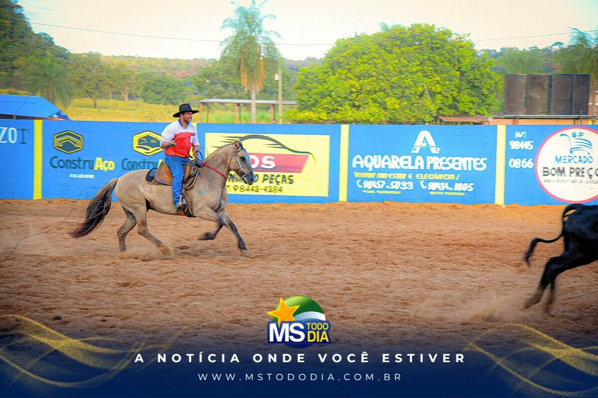 Imagem da Galeria